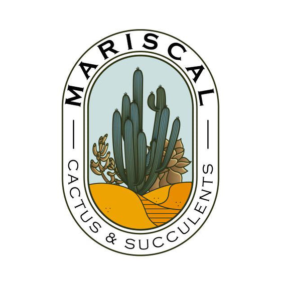 Mariscal Cactus & Succulents, Inc.
